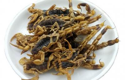 蝎子烘干工藝