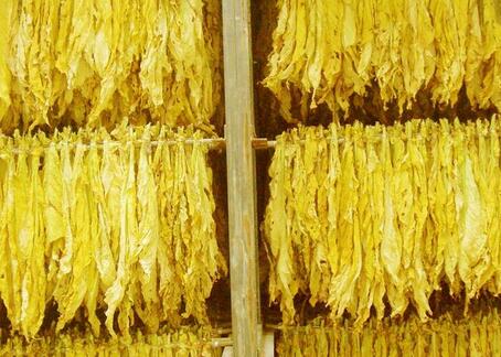 烤煙熱泵烘干工藝，烤煙烘干解決方案