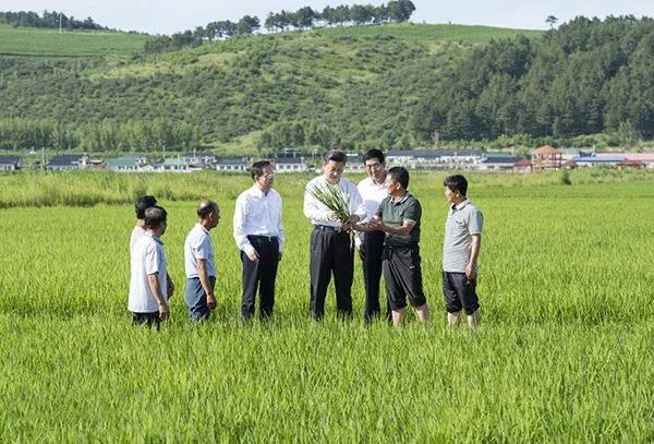  中央高層重視糧食安全，熱泵烘干市場(chǎng)未來(lái)可期