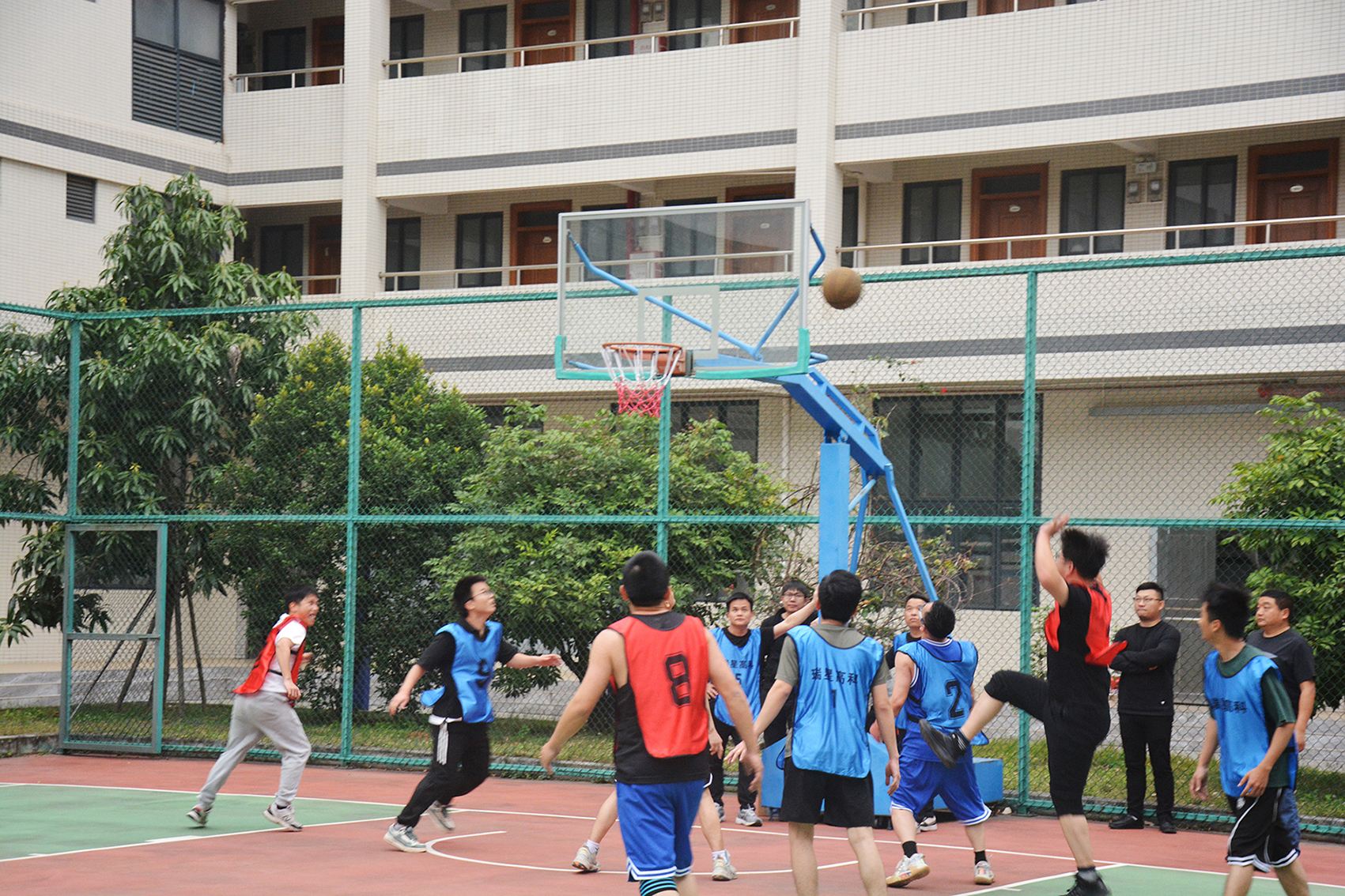 DSC_0826.JPG
