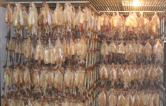 魷魚(yú)